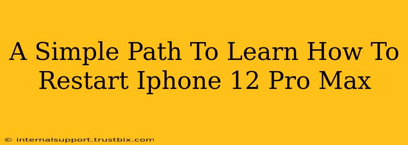 A Simple Path To Learn How To Restart Iphone 12 Pro Max