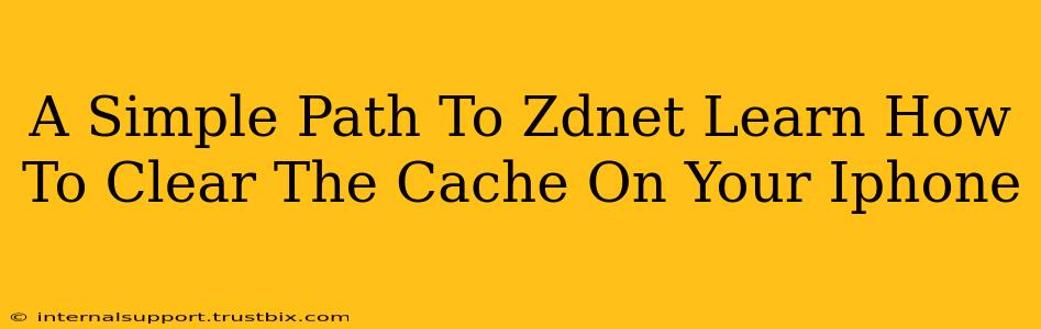 A Simple Path To Zdnet Learn How To Clear The Cache On Your Iphone