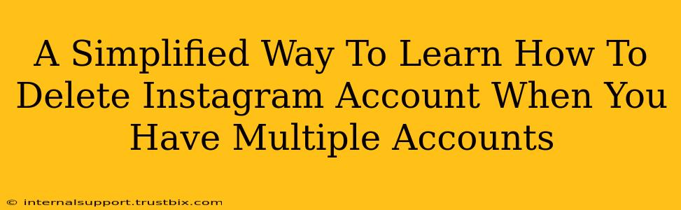 A Simplified Way To Learn How To Delete Instagram Account When You Have Multiple Accounts