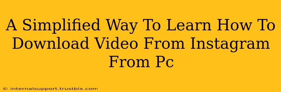 A Simplified Way To Learn How To Download Video From Instagram From Pc