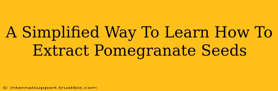 A Simplified Way To Learn How To Extract Pomegranate Seeds