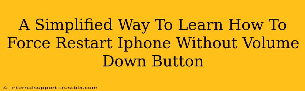 A Simplified Way To Learn How To Force Restart Iphone Without Volume Down Button