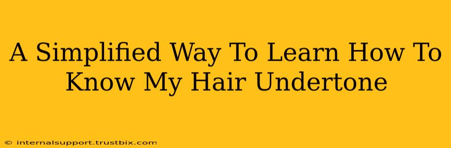 A Simplified Way To Learn How To Know My Hair Undertone