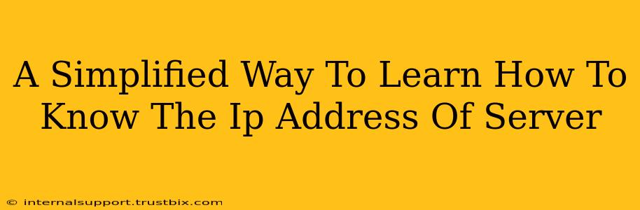 A Simplified Way To Learn How To Know The Ip Address Of Server