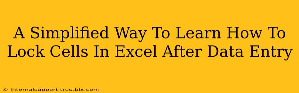 A Simplified Way To Learn How To Lock Cells In Excel After Data Entry