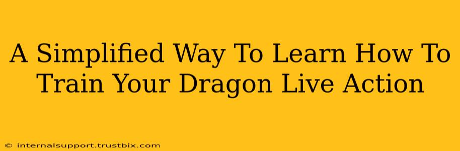 A Simplified Way To Learn How To Train Your Dragon Live Action