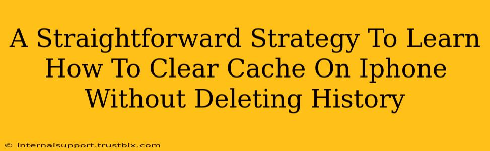 A Straightforward Strategy To Learn How To Clear Cache On Iphone Without Deleting History