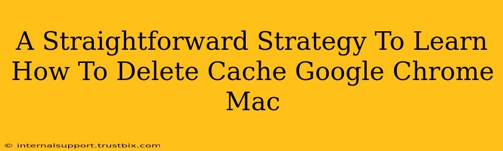 A Straightforward Strategy To Learn How To Delete Cache Google Chrome Mac