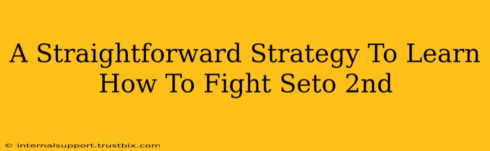 A Straightforward Strategy To Learn How To Fight Seto 2nd