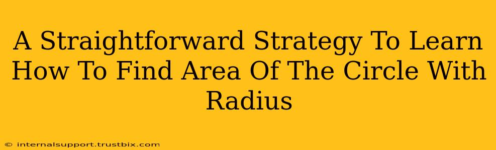 A Straightforward Strategy To Learn How To Find Area Of The Circle With Radius