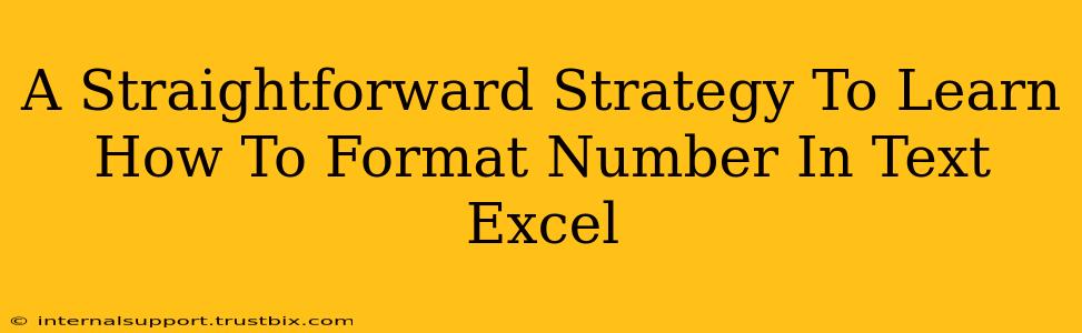 A Straightforward Strategy To Learn How To Format Number In Text Excel