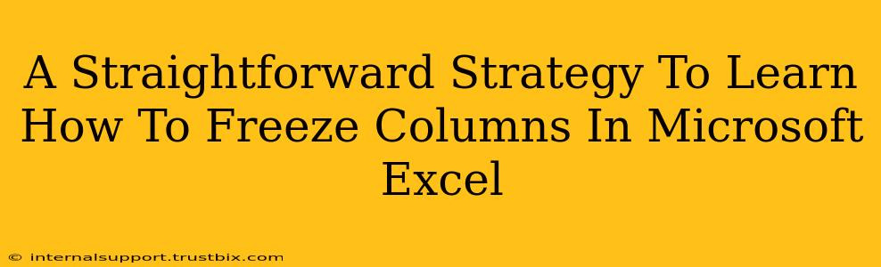 A Straightforward Strategy To Learn How To Freeze Columns In Microsoft Excel