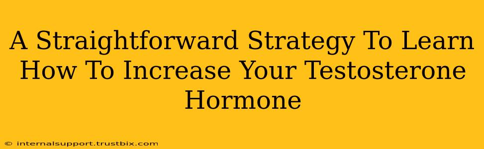 A Straightforward Strategy To Learn How To Increase Your Testosterone Hormone