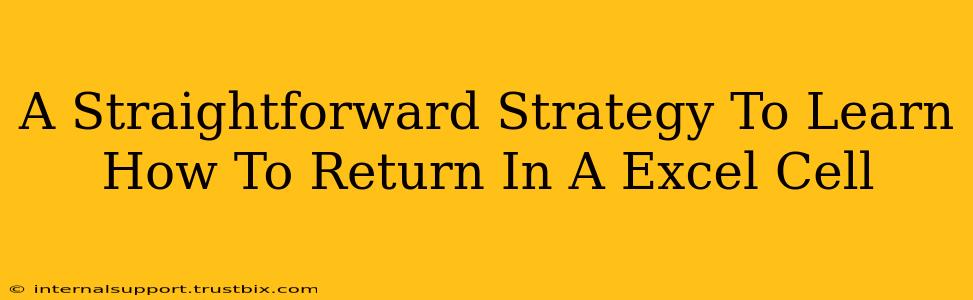 A Straightforward Strategy To Learn How To Return In A Excel Cell