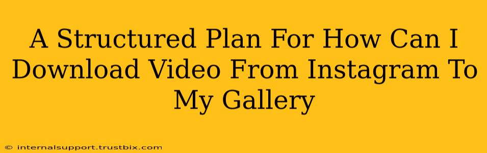 A Structured Plan For How Can I Download Video From Instagram To My Gallery