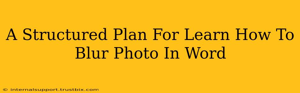 A Structured Plan For Learn How To Blur Photo In Word