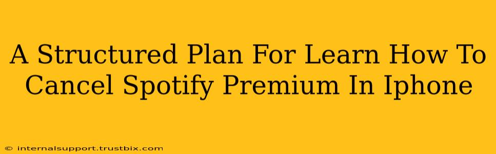 A Structured Plan For Learn How To Cancel Spotify Premium In Iphone