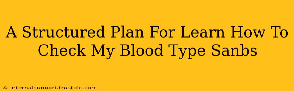 A Structured Plan For Learn How To Check My Blood Type Sanbs