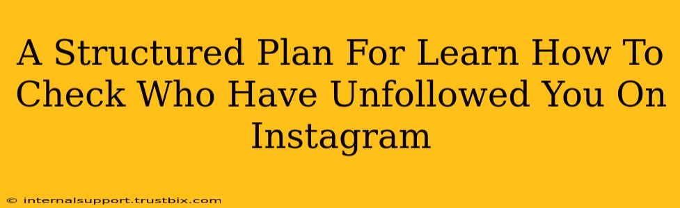 A Structured Plan For Learn How To Check Who Have Unfollowed You On Instagram