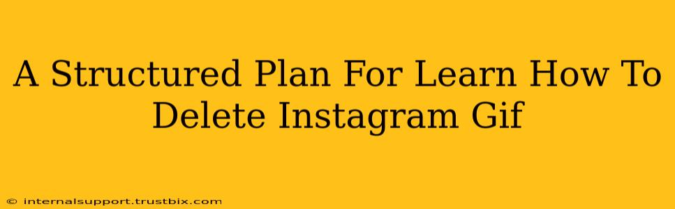 A Structured Plan For Learn How To Delete Instagram Gif