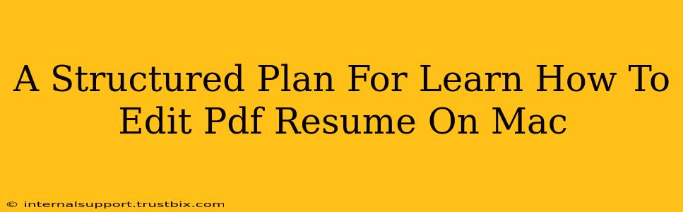 A Structured Plan For Learn How To Edit Pdf Resume On Mac