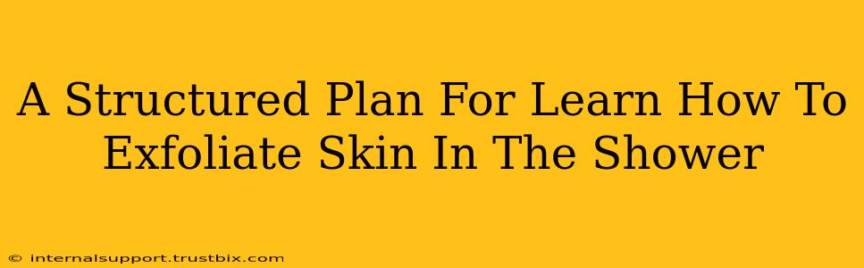 A Structured Plan For Learn How To Exfoliate Skin In The Shower