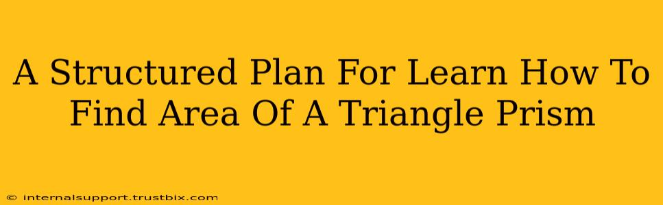 A Structured Plan For Learn How To Find Area Of A Triangle Prism