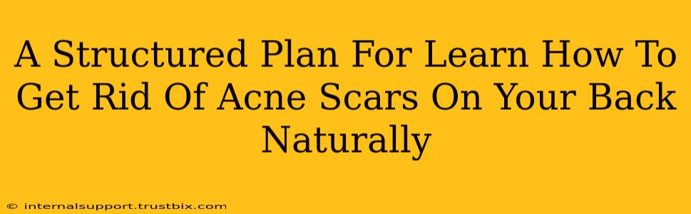 A Structured Plan For Learn How To Get Rid Of Acne Scars On Your Back Naturally