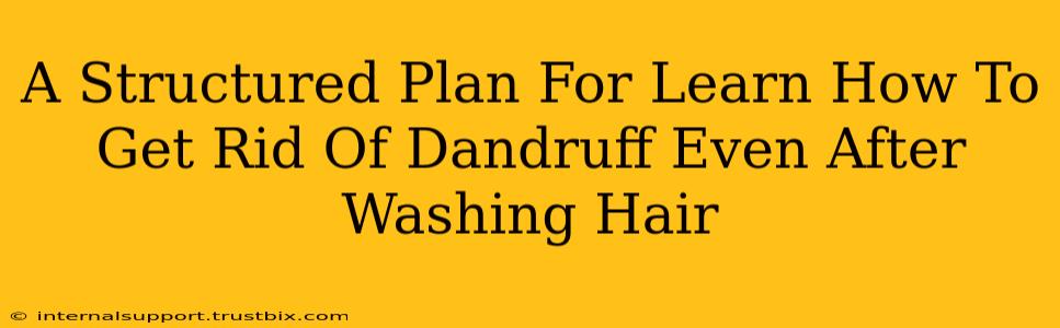 A Structured Plan For Learn How To Get Rid Of Dandruff Even After Washing Hair