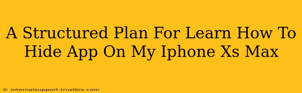 A Structured Plan For Learn How To Hide App On My Iphone Xs Max