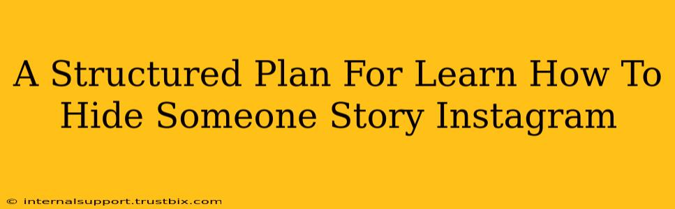 A Structured Plan For Learn How To Hide Someone Story Instagram