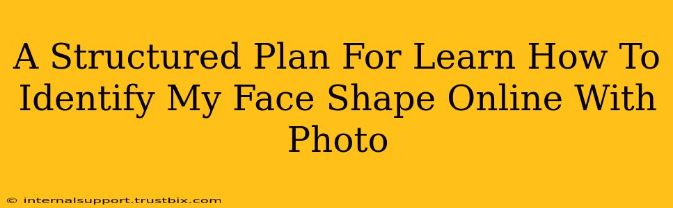 A Structured Plan For Learn How To Identify My Face Shape Online With Photo