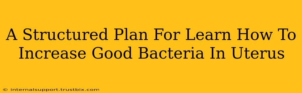 A Structured Plan For Learn How To Increase Good Bacteria In Uterus