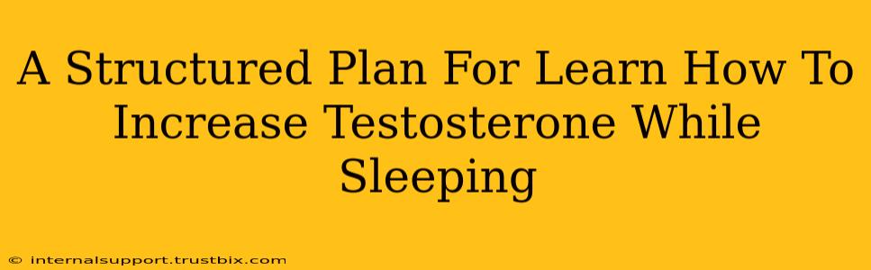 A Structured Plan For Learn How To Increase Testosterone While Sleeping