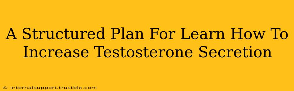 A Structured Plan For Learn How To Increase Testosterone Secretion