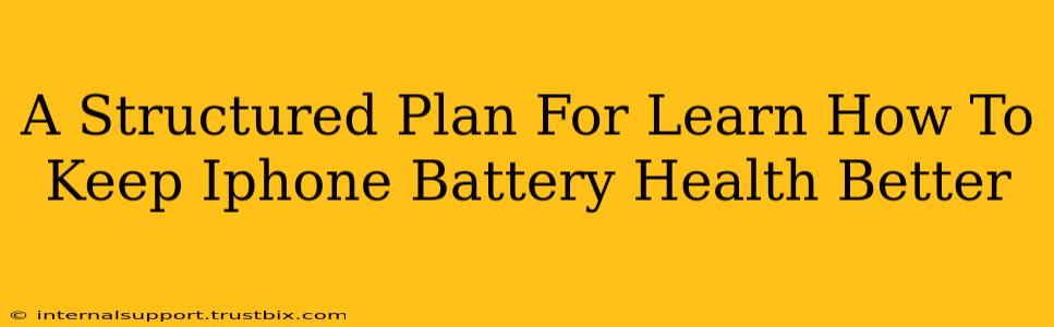 A Structured Plan For Learn How To Keep Iphone Battery Health Better