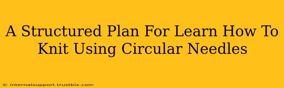 A Structured Plan For Learn How To Knit Using Circular Needles