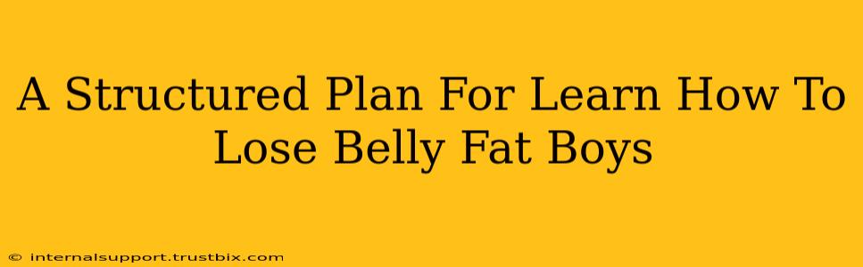 A Structured Plan For Learn How To Lose Belly Fat Boys