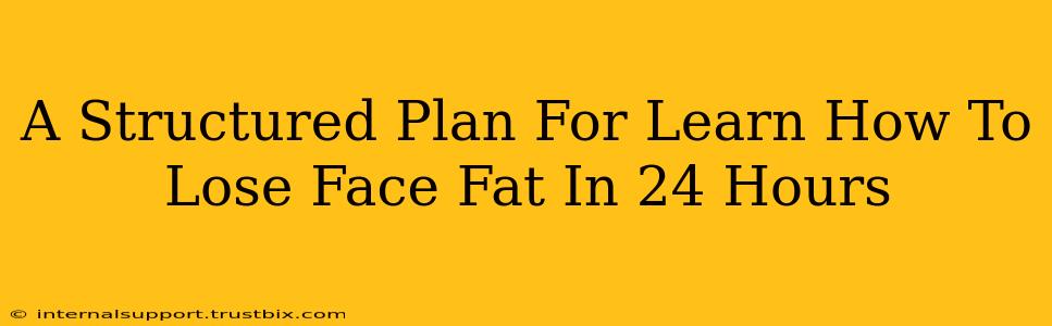 A Structured Plan For Learn How To Lose Face Fat In 24 Hours