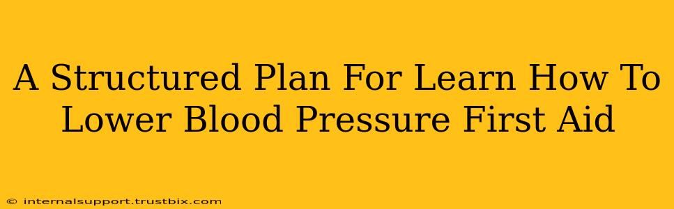 A Structured Plan For Learn How To Lower Blood Pressure First Aid