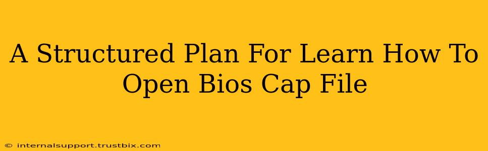 A Structured Plan For Learn How To Open Bios Cap File