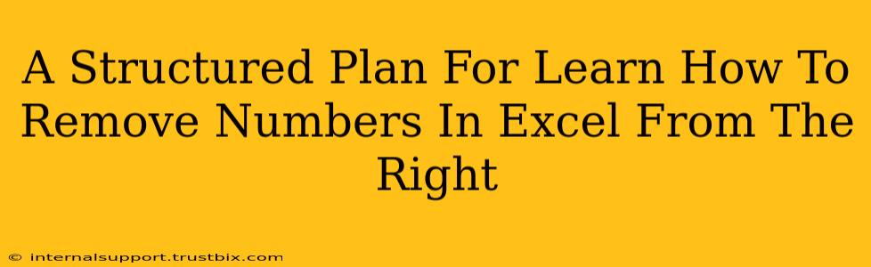 A Structured Plan For Learn How To Remove Numbers In Excel From The Right