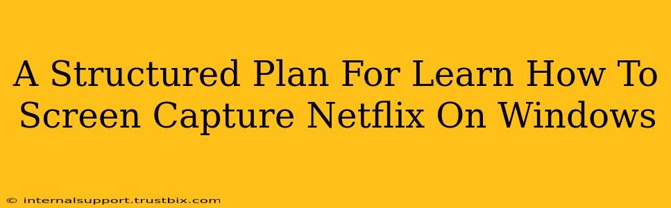 A Structured Plan For Learn How To Screen Capture Netflix On Windows