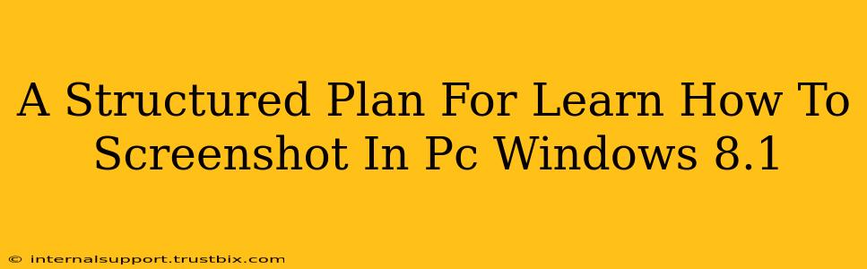 A Structured Plan For Learn How To Screenshot In Pc Windows 8.1