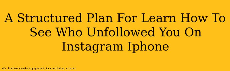 A Structured Plan For Learn How To See Who Unfollowed You On Instagram Iphone