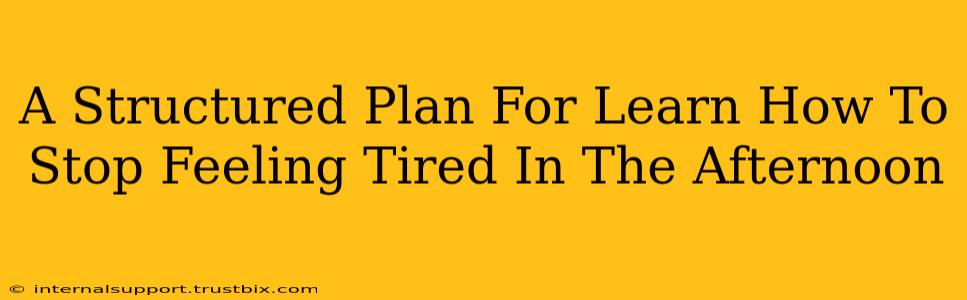 A Structured Plan For Learn How To Stop Feeling Tired In The Afternoon