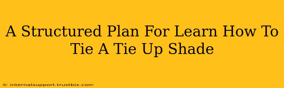 A Structured Plan For Learn How To Tie A Tie Up Shade