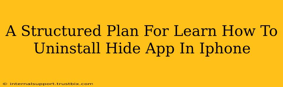 A Structured Plan For Learn How To Uninstall Hide App In Iphone