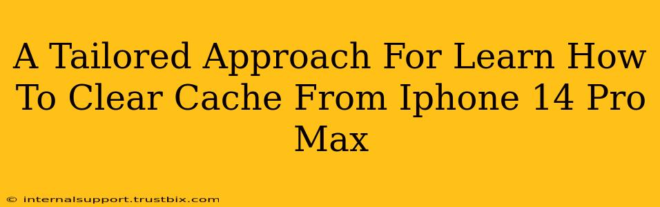 A Tailored Approach For Learn How To Clear Cache From Iphone 14 Pro Max