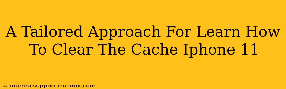 A Tailored Approach For Learn How To Clear The Cache Iphone 11